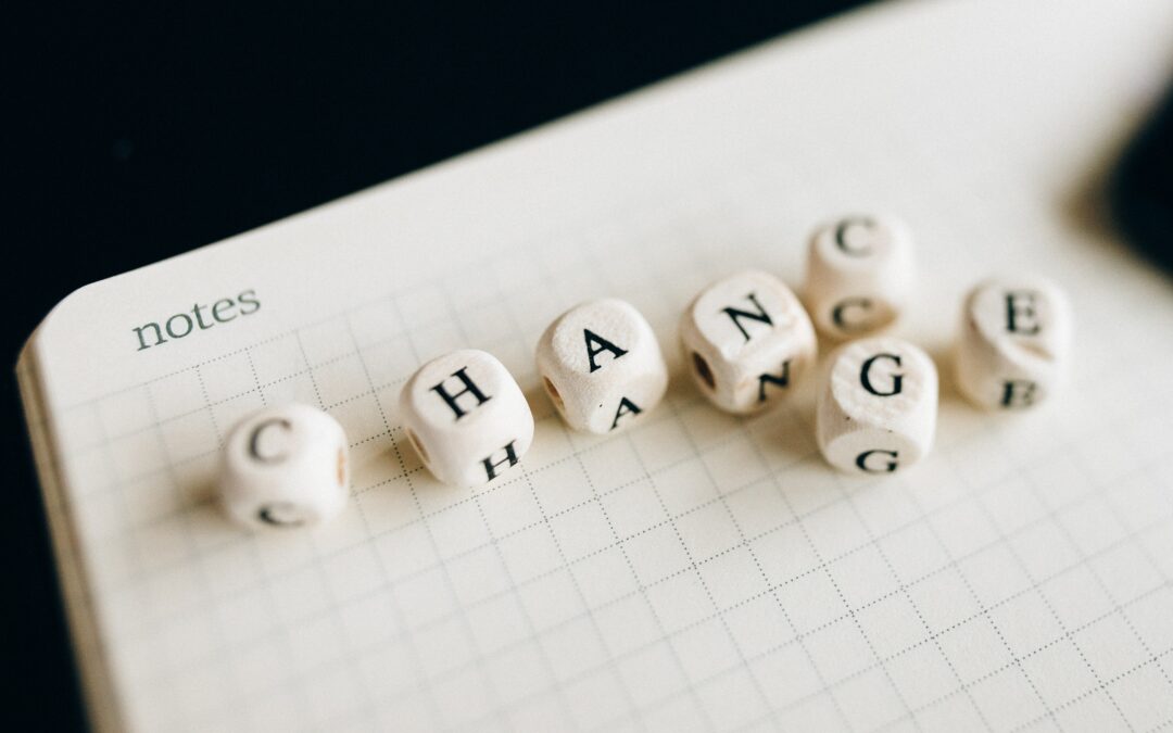 Understanding Change Management: The Journey from Startups to Established Organisations 